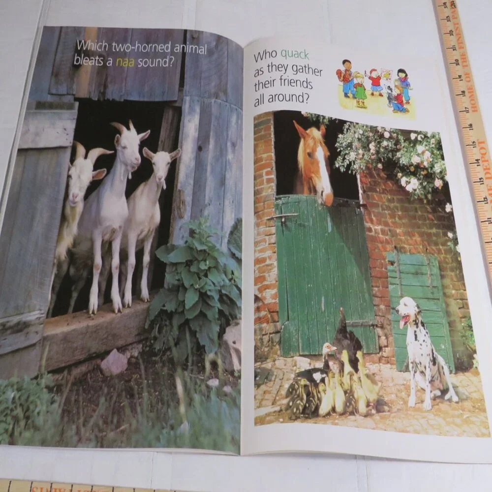 Sounds of the Farm BIG BOOK (almost 2 feet tall) with teacher pages Classroom